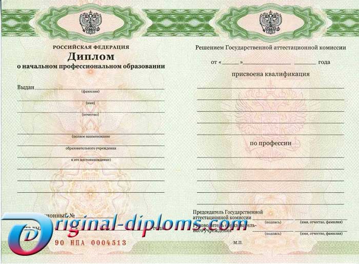 Диплом училища, лицея 2010-2025 год